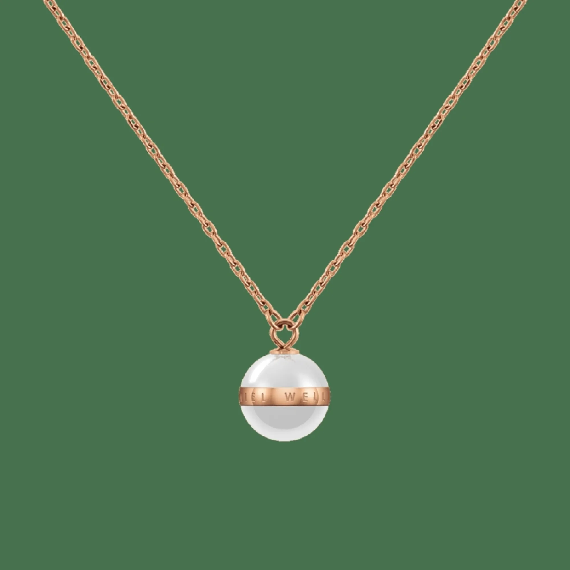 Daniel Wellington Aspiration Necklace