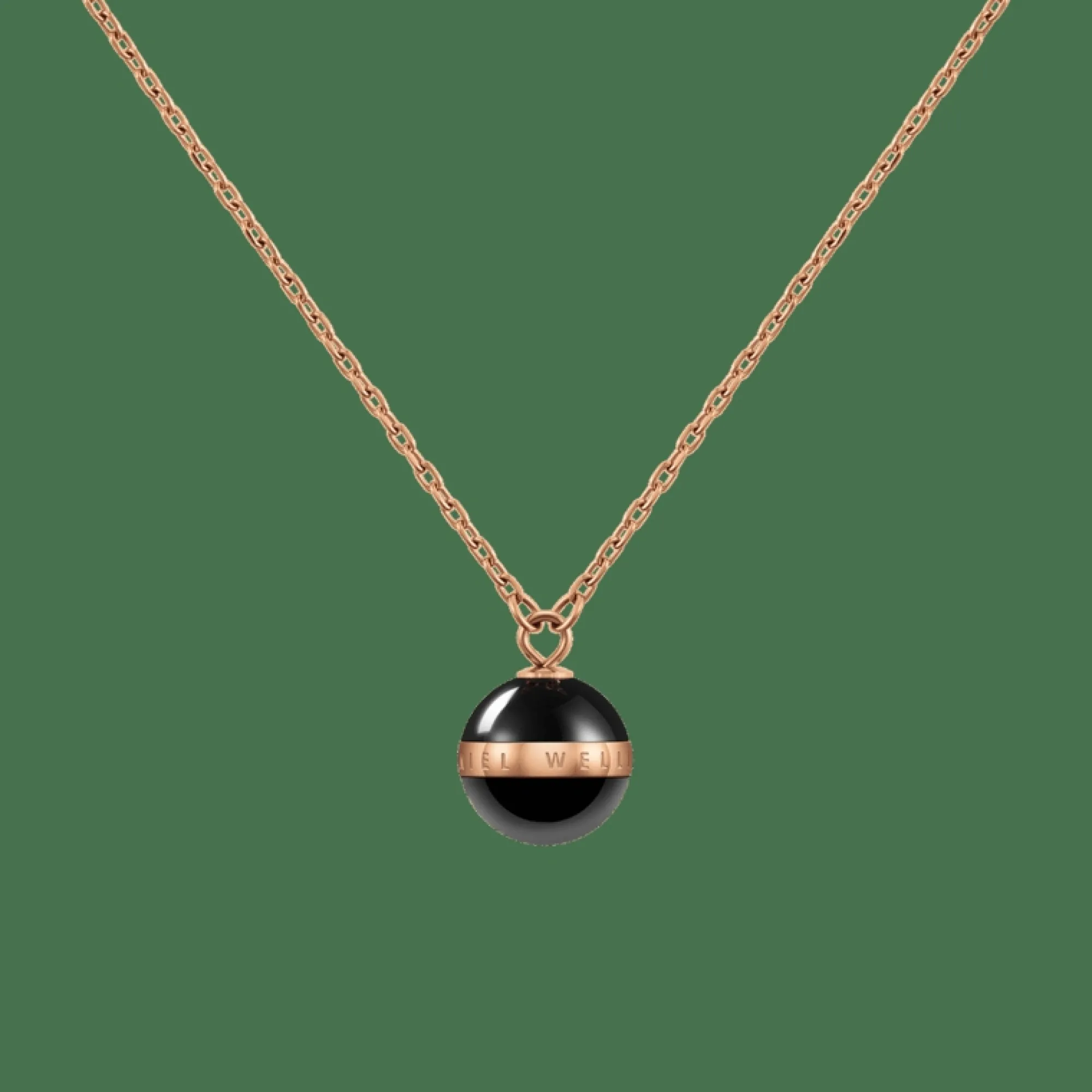 Daniel Wellington Aspiration Necklace