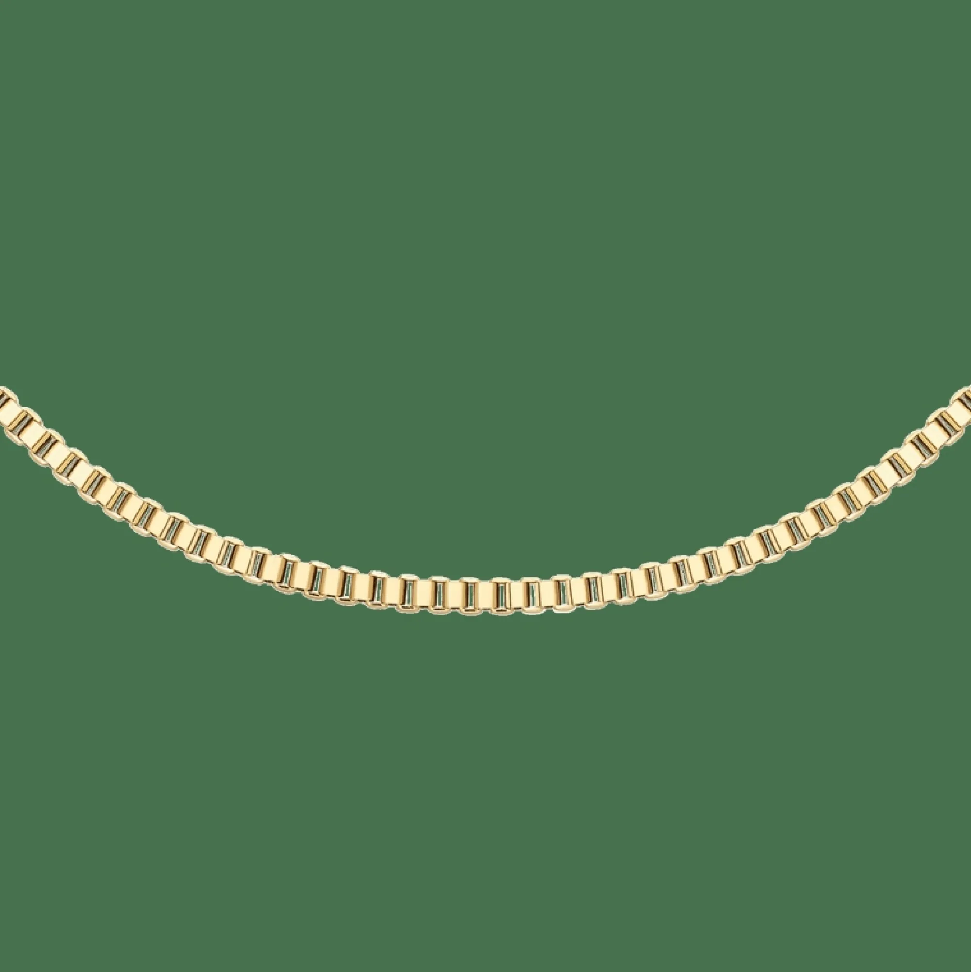 Daniel Wellington Box Chain Necklace G