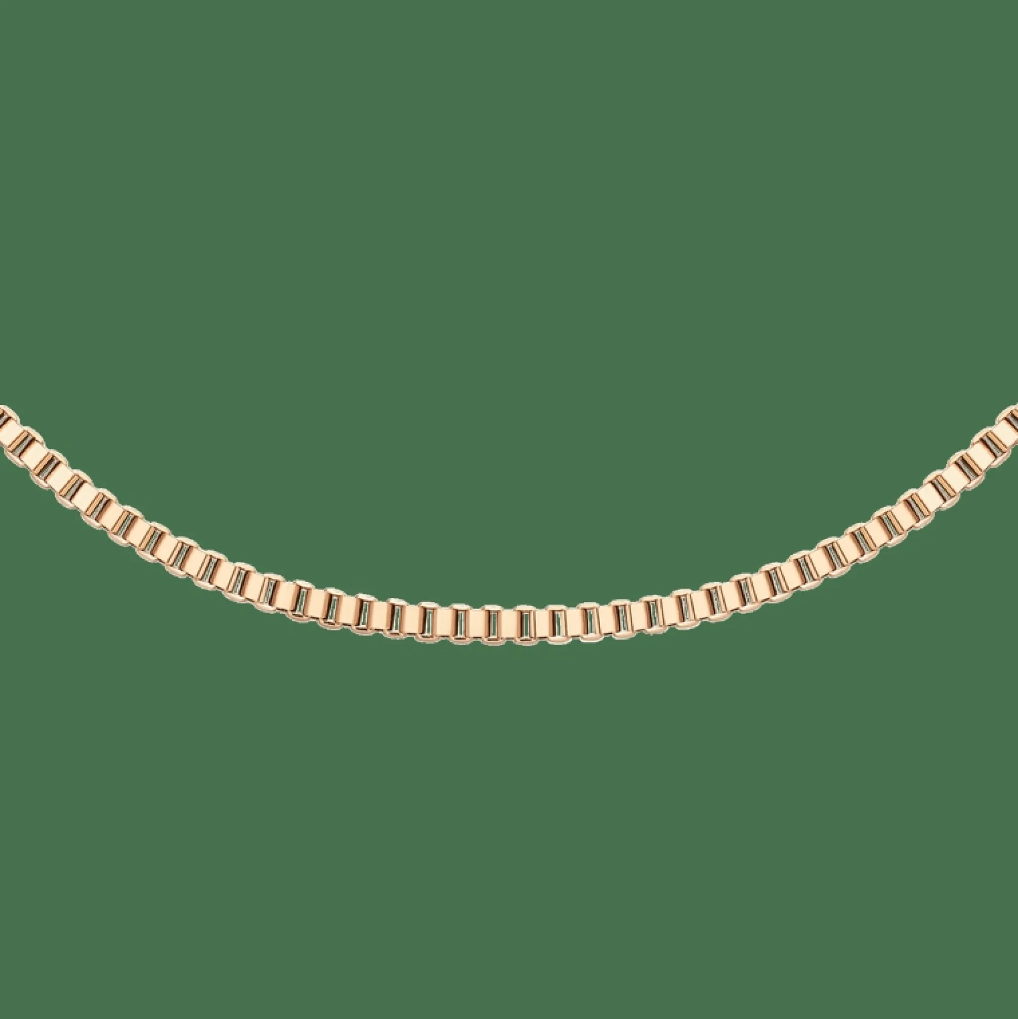 Daniel Wellington Box Chain Necklace RG