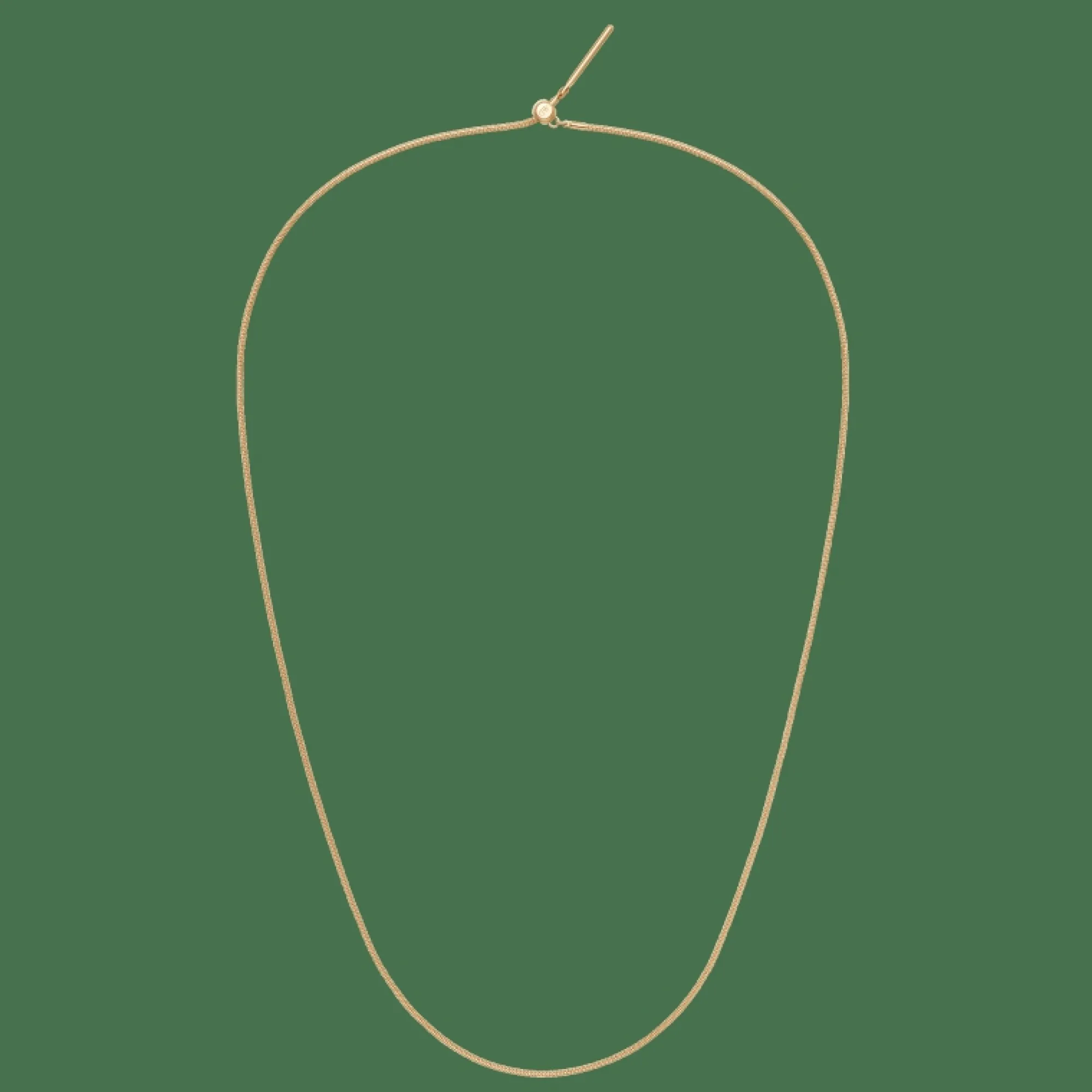 Daniel Wellington Charms Snake Necklace G