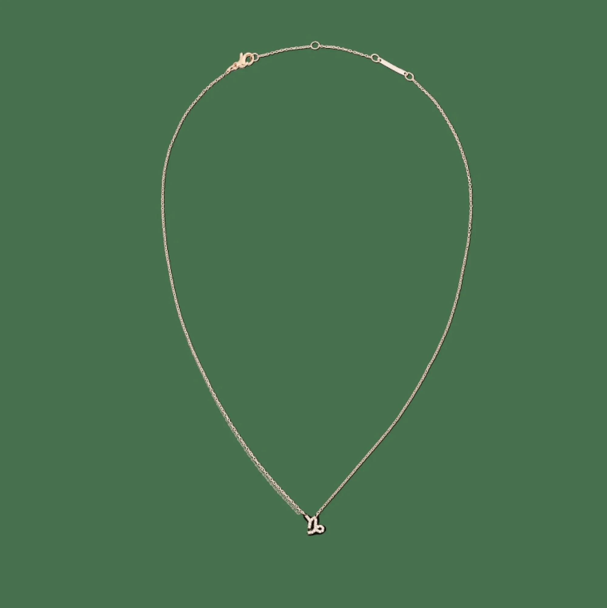 crystal_zodiac_chain_necklace_rose_gold_12.webp Daniel Wellington Crystal Zodiac Chain Necklace