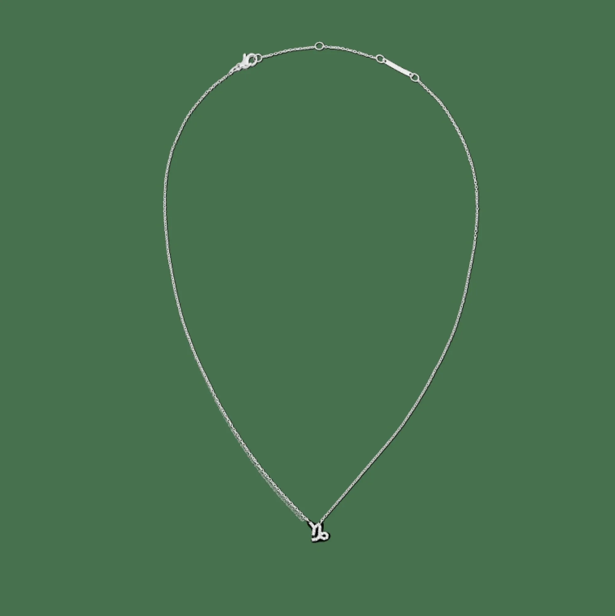 crystal_zodiac_chain_necklace_silver_11.webp Daniel Wellington Crystal Zodiac Chain Necklace