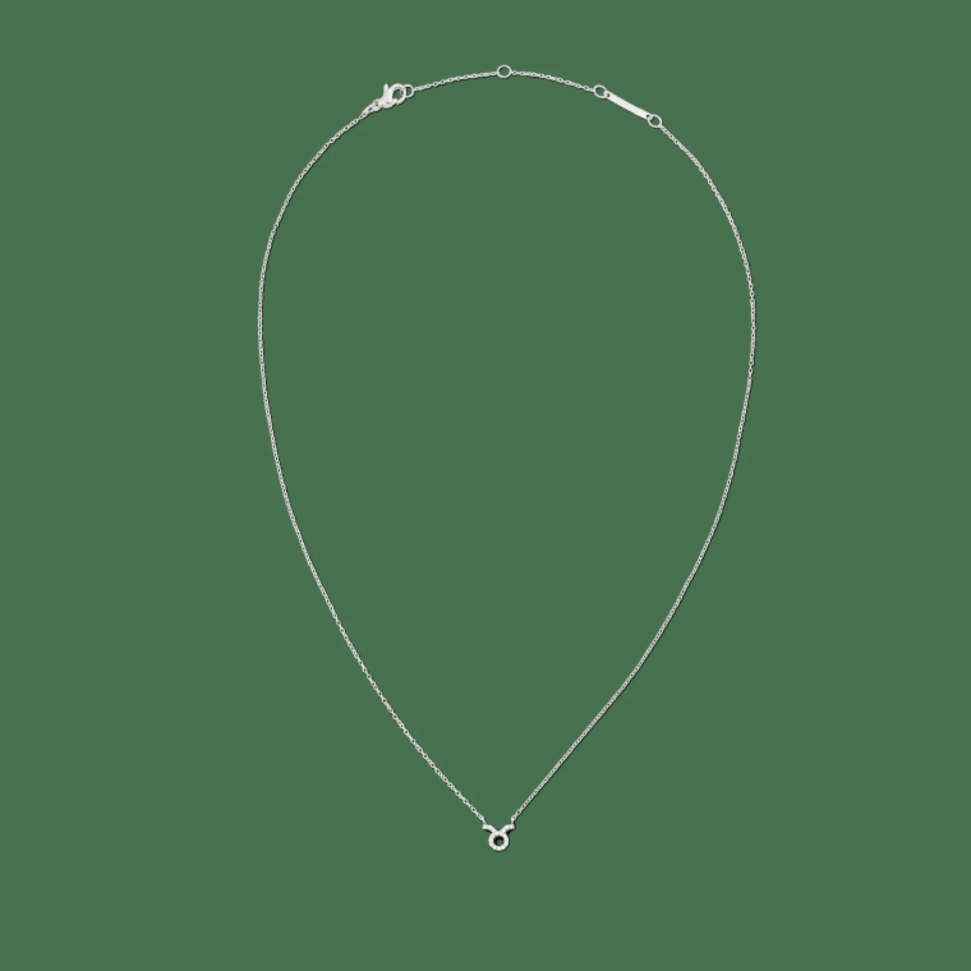 crystal_zodiac_chain_necklace_silver_43.webp Daniel Wellington Crystal Zodiac Chain Necklace