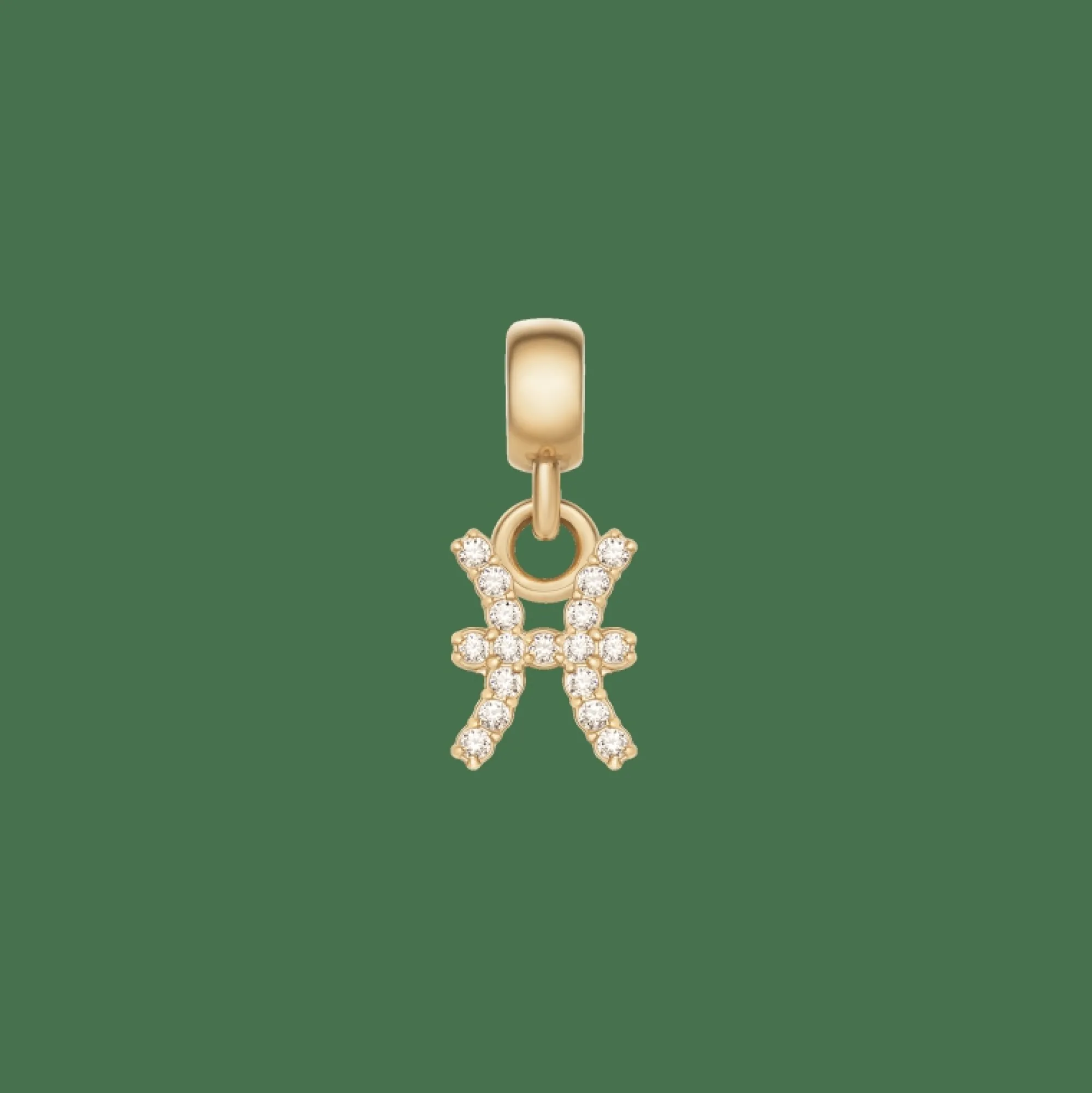 Daniel Wellington Crystal Zodiac Charm