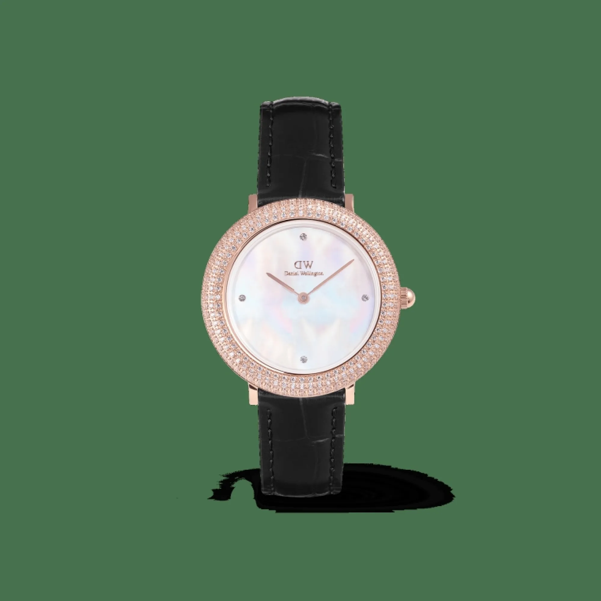 Damen Daniel Wellington Crystalline Bezel Black Croc